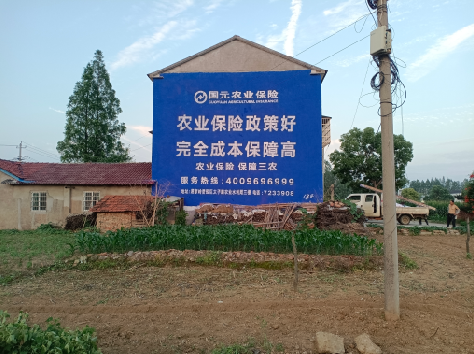 德化墙体广告为何受追捧？